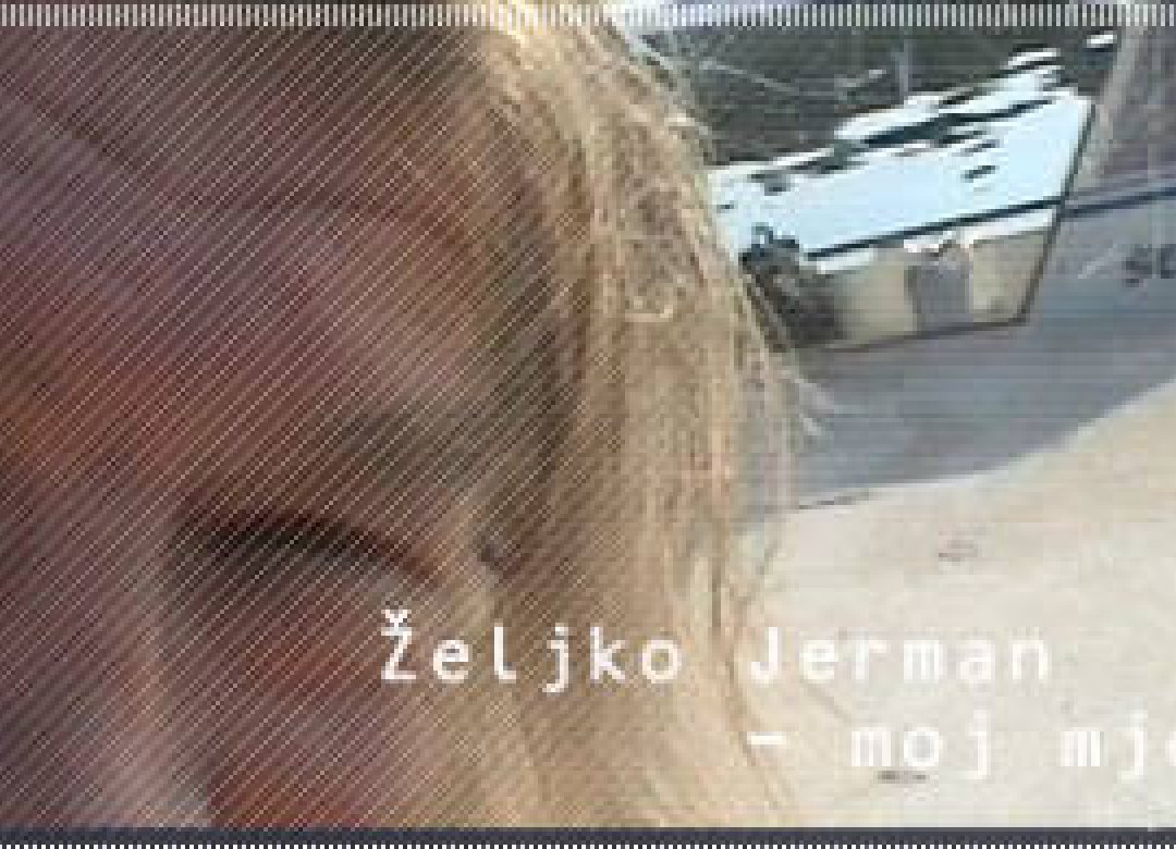 Zeljko Jerman - My Month